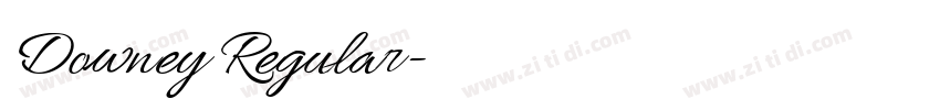 Downey Regular字体转换